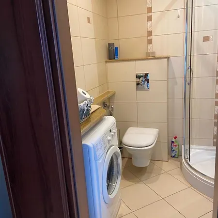 Diego 波兰尼卡-兹德鲁伊